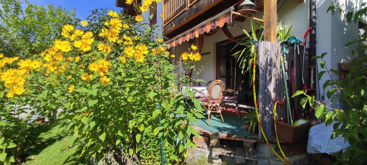 Ferienwohnung Chiemgau - Erleben Зигсдорф Екстериор снимка